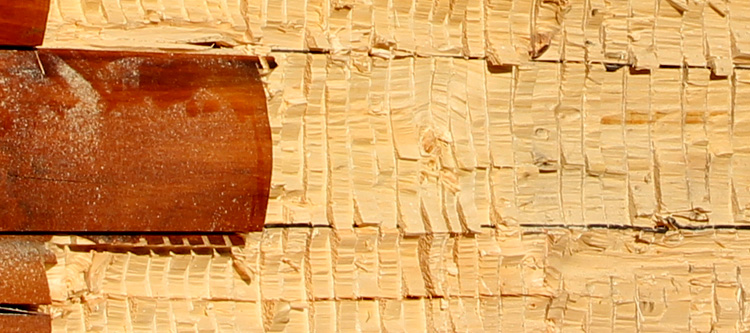 Log Home Face Restoration  Pine Level,  North Carolina